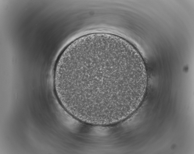 X0000097641514200803211821