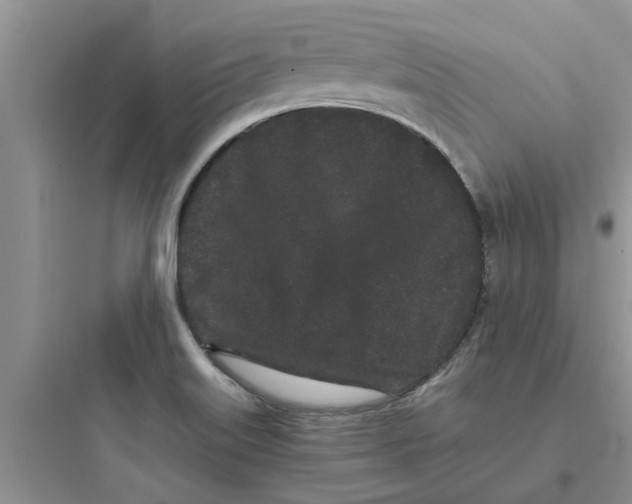 X0000097641515200803211821