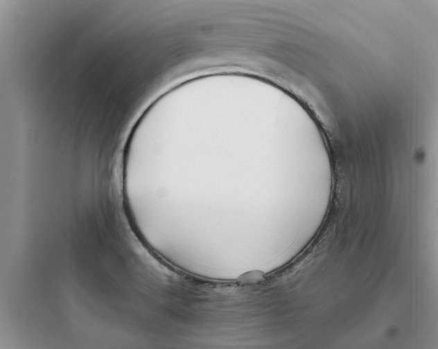 X0000097641516200803211821