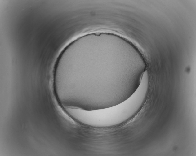 X0000097641518200803211821