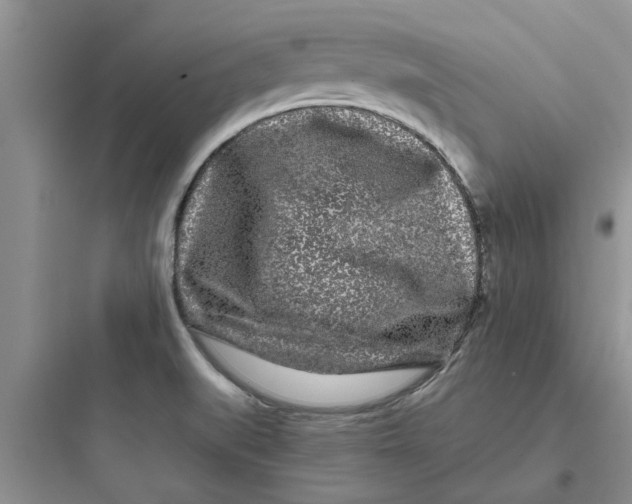 X0000097641519200803211821