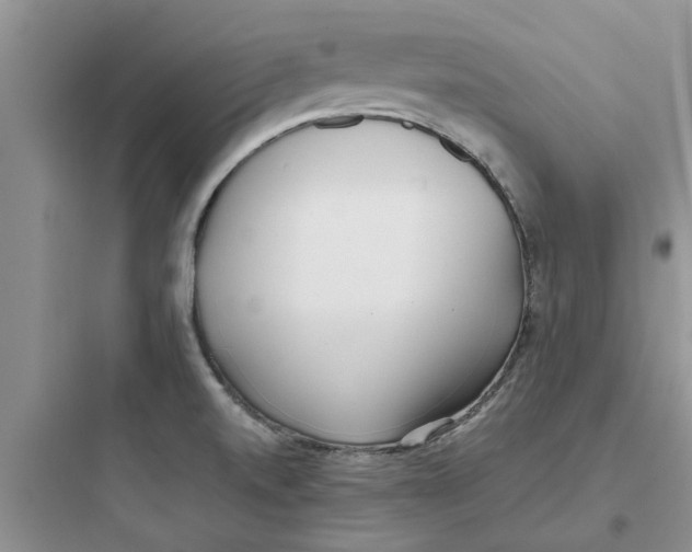 X0000097641520200803211821