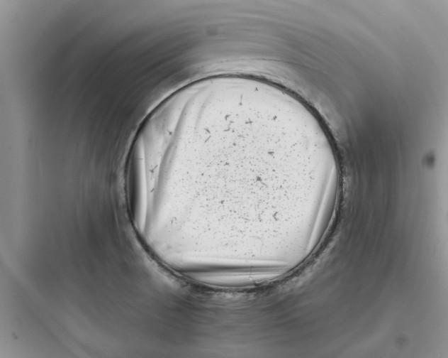 X0000097641521200803211821