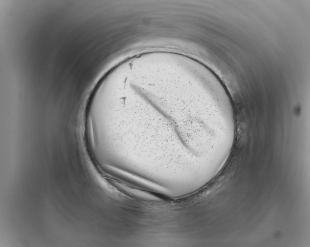 X0000097641523200803211821