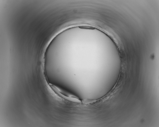 X0000097641524200803211821