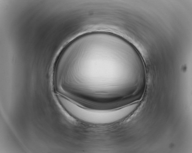 X0000097641525200803211821