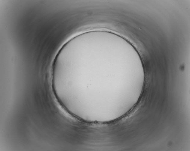 X0000097641526200803211821