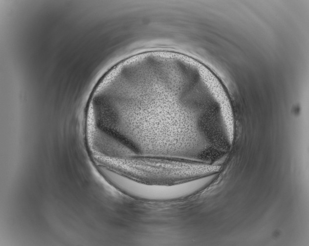 X0000097641527200803211821