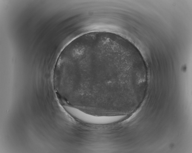 X0000097641529200803211821