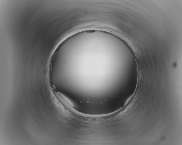 X0000097641530200803211821