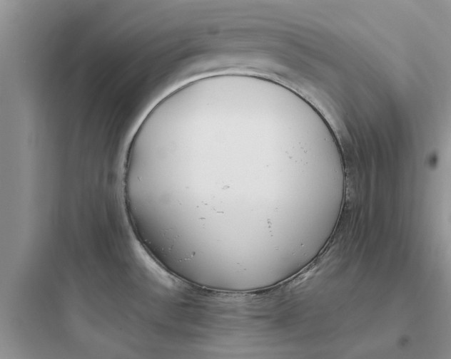 X0000097641532200803211821