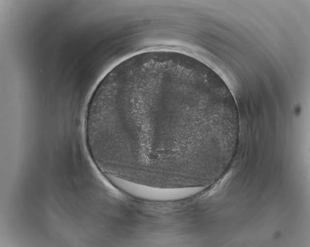 X0000097641533200803211821