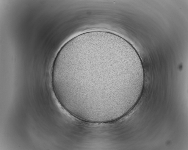 X0000097641534200803211821