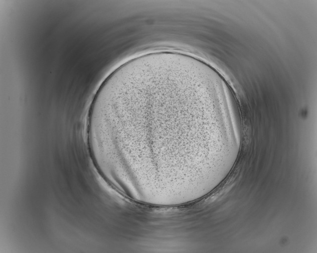 X0000097641535200803211821