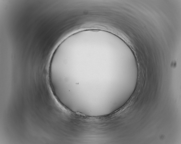 X0000097641536200803211821