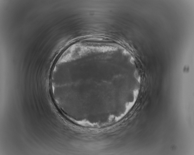 X0000097640002200803281133