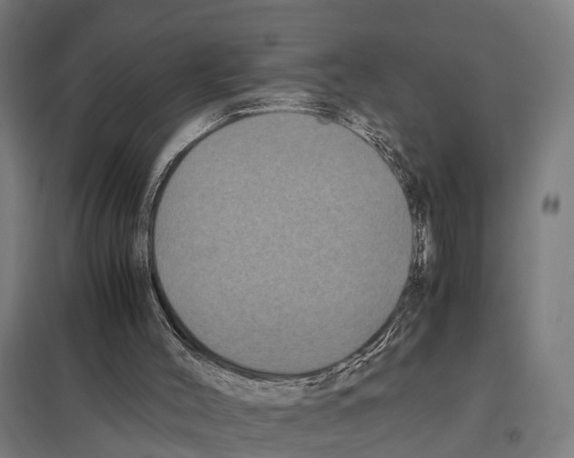 X0000097640004200803281133