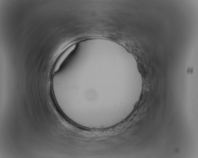 X0000097640005200803281133