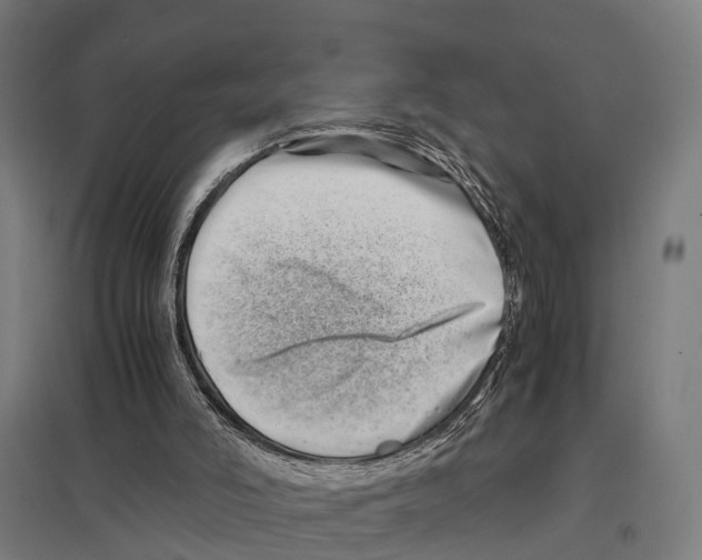 X0000097640006200803281133