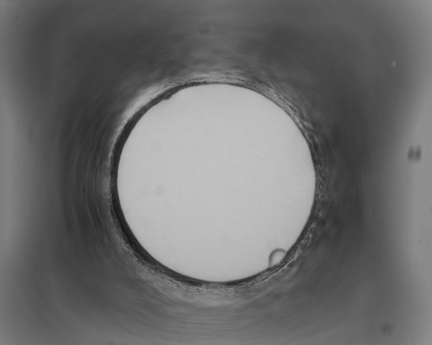 X0000097640008200803281133