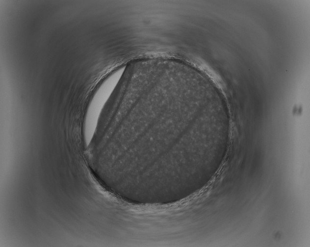 X0000097640009200803281133