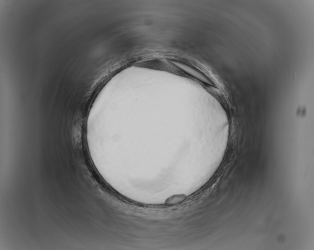 X0000097640010200803281133