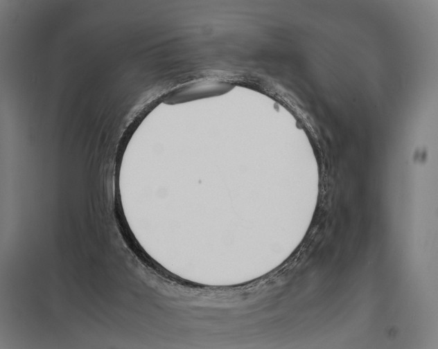 X0000097640011200803281133