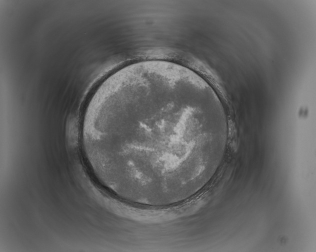 X0000097640012200803281133