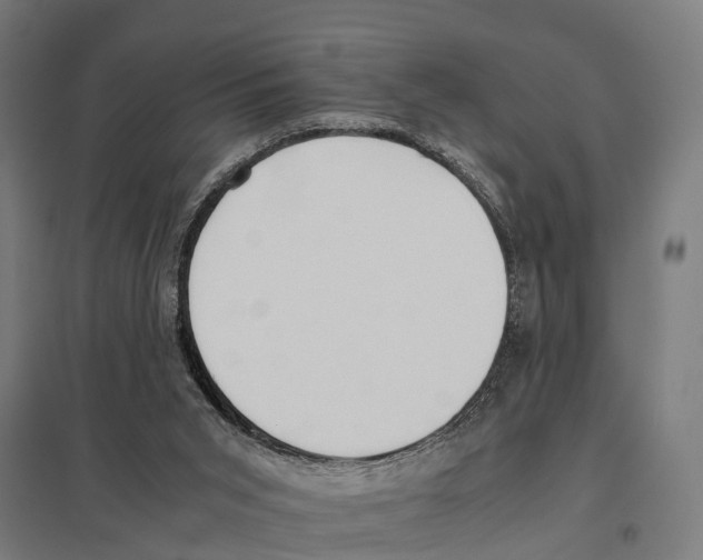 X0000097640015200803281133