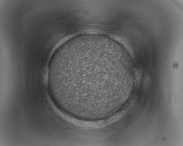 X0000097640016200803281133