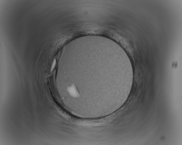 X0000097640017200803281133