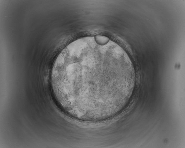 X0000097640018200803281133