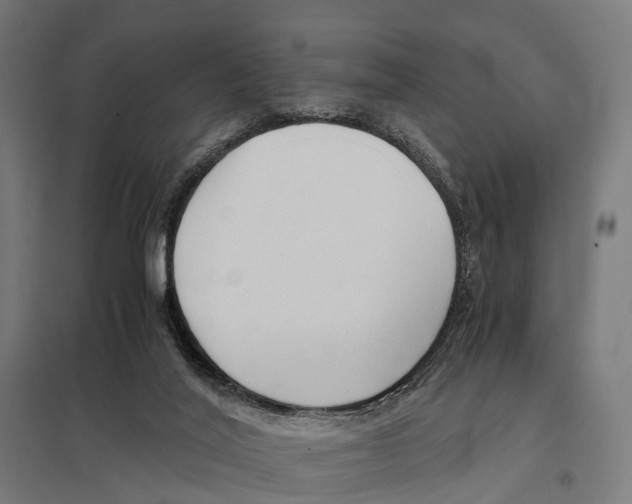 X0000097640020200803281133