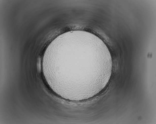 X0000097640022200803281133