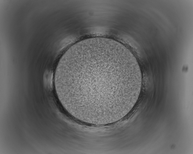 X0000097640024200803281133