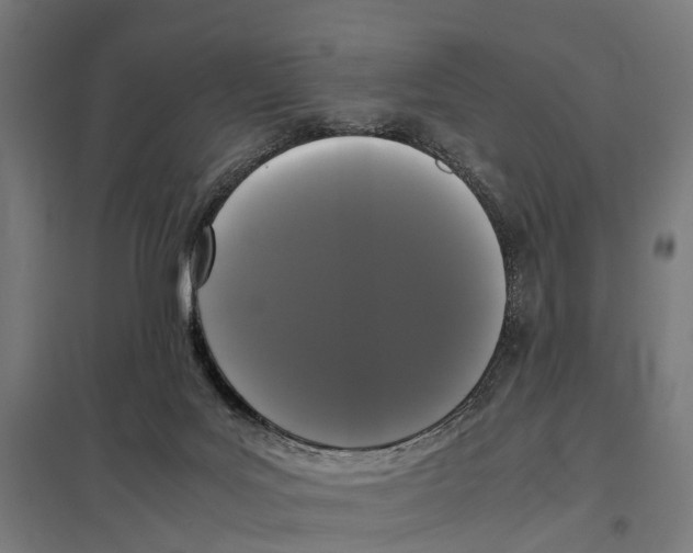 X0000097640027200803281133