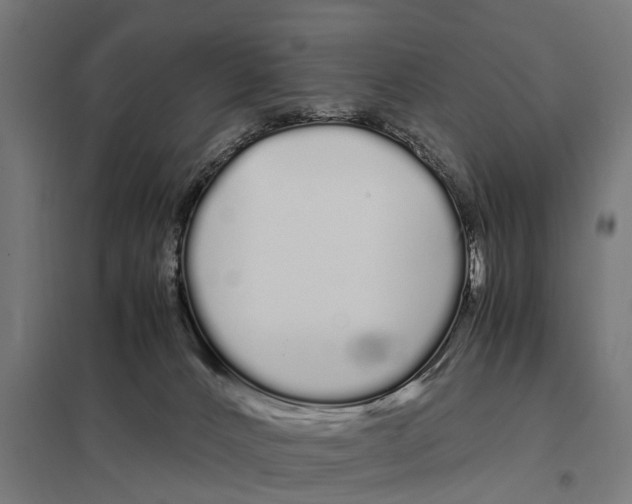 X0000097640032200803281132