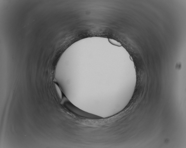 X0000097640033200803281132