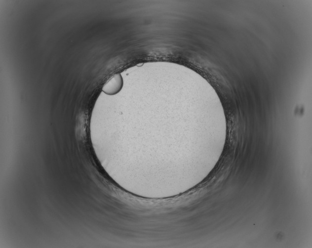 X0000097640038200803281132