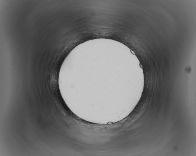 X0000097640040200803281132