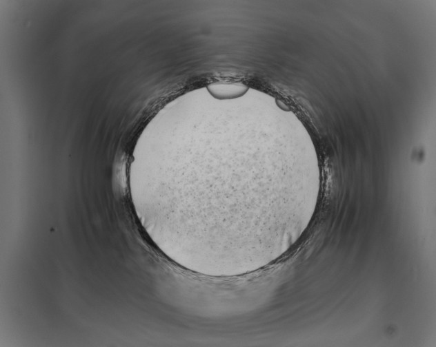 X0000097640042200803281132