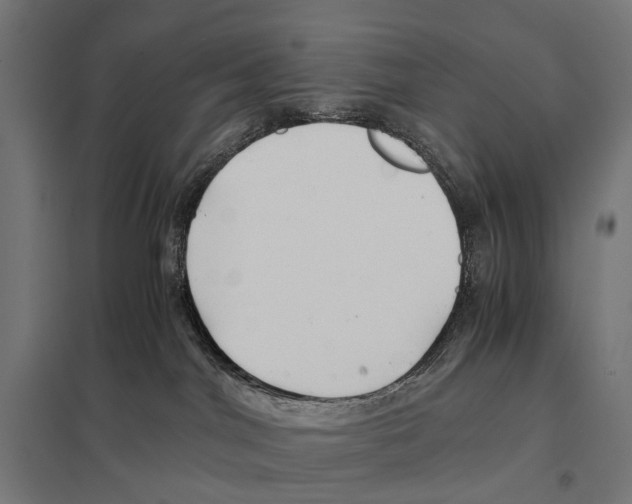 X0000097640044200803281132