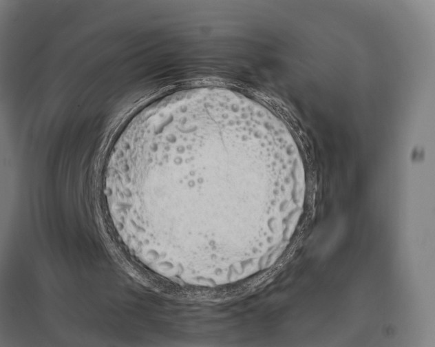 X0000097640049200803281132