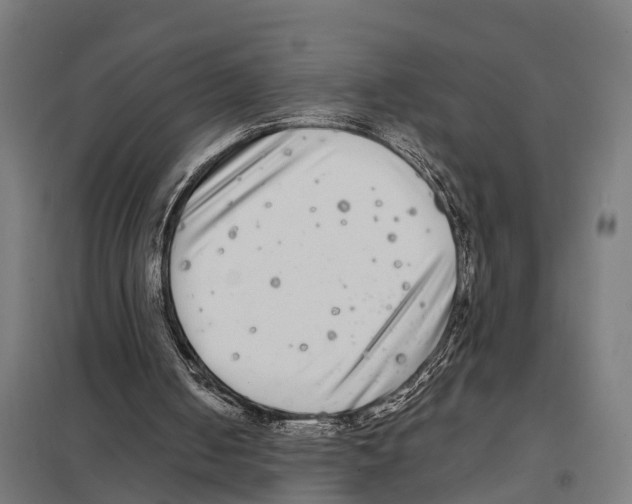 X0000097640050200803281132