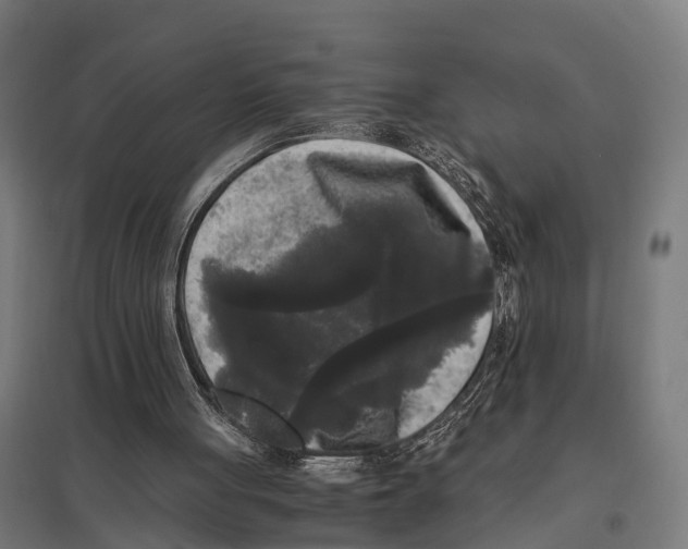 X0000097640051200803281132