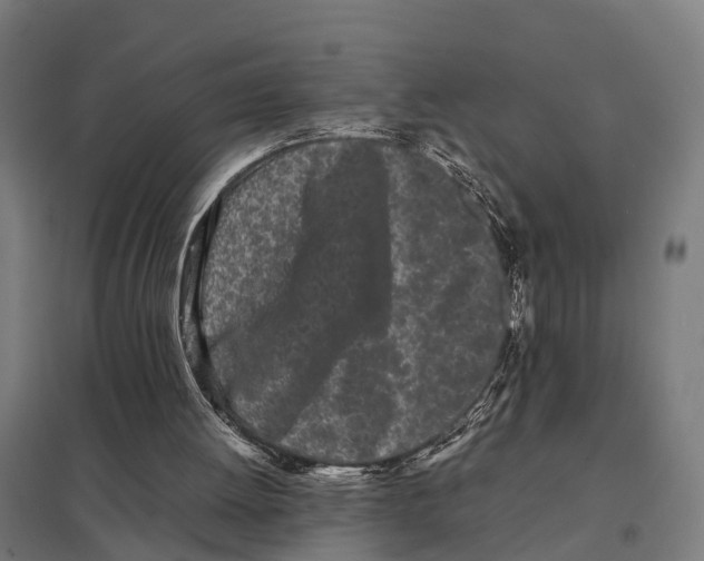 X0000097640052200803281132