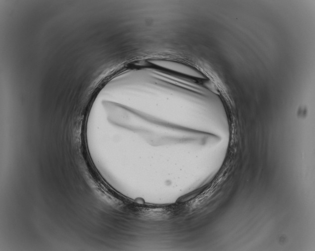 X0000097640058200803281132