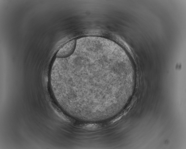 X0000097640059200803281132