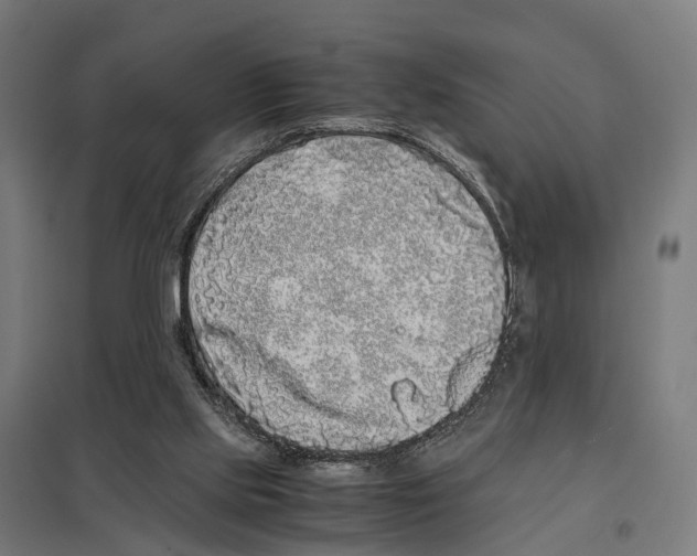 X0000097640061200803281132