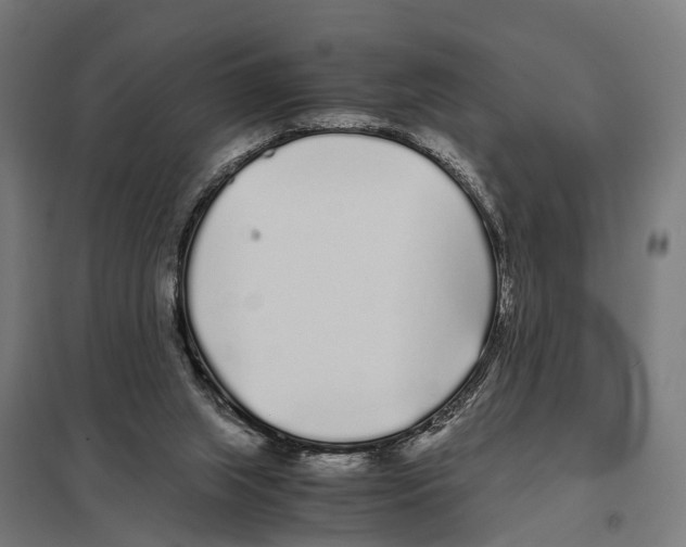 X0000097640063200803281132